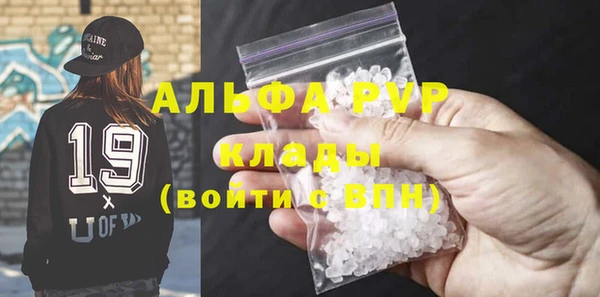 индика Володарск