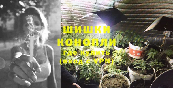 индика Володарск
