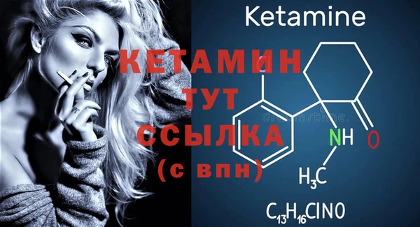 индика Володарск