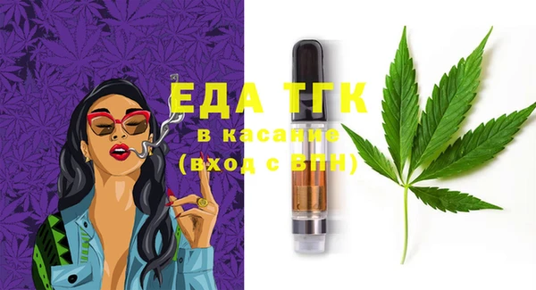 индика Володарск
