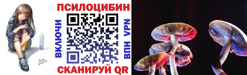 blacksprut ССЫЛКА  Высоцк  Галлюциногенные грибы GOLDEN TEACHER 